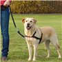 Lot de 2 clips de sécurité réfléchissants pour collier de chien - Pivotant à 360° - Avec double fermeture pour harnais de chien 