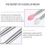 Brosse à Lèvres en Silicone Double Face