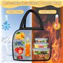 Sac Isotherme Repas，Petit Panier Repas Étanche Mini Sac à Lunch Isolé Pliable，Sac Lunch Box Étanches, Sac Glaciere Imperméable e