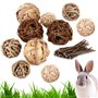 Vegena Lot de 10 boules à mâcher Cochon d'Inde - Petits animaux à mâcher - Balles naturelles avec bâtonnets de branche de pomme