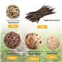 Vegena Lot de 10 boules à mâcher Cochon d'Inde - Petits animaux à mâcher - Balles naturelles avec bâtonnets de branche de pomme