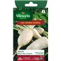 Vilmorin 3703242 Pack de Graines Navet Dur d'Hiver Blanc