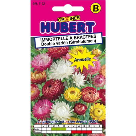 Graines d'Immortelle a Bractées double variée - 1 gramme