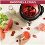 MAGIMIX Extracteur de jus 18083F - Juice EXPERT 4 Chrome
