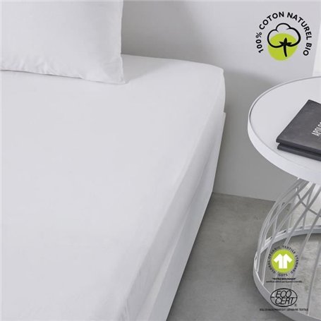 Drap housse - TODAY - 180 x 200 cm + 30 cm - Coton - Organic Craie