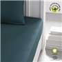 Drap housse - TODAY - 180 x 200 cm + 30 cm - Coton - Organic Paon