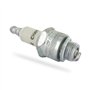 Greenstar 519090 Bougie champion rj19lmc, Noir