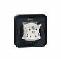 Schneider Electric - Mureva Styl - Prise courant 2P+T renforcee - encastre - IP55 - IK08 - EV - gris - MUR36011