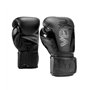 Elite Evo Gants de boxe