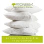 UNIVERSDECOR Lot de 2 oreillers 60 x 60 cm Moelleux antiacariens Proneem® Fibre VOLUPT’AIR® Dodo