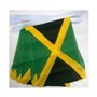 AZ FLAG - Guirlande Drapeau Jamaïque - 4 Mètres Avec 20 Petits Drapeaux Jamaïcain De 15x10 cm - Fanion 100% Polyester - 40g