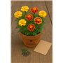 50 graines à semer - Le Grenier d'Abondance - OEILLET D'Inde Bonita - Tagetes Patula Bonita