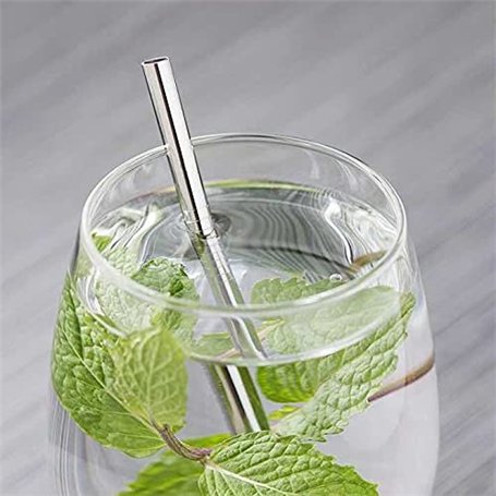 Pailles courtes en INOX 304 | Lot de 10 | Marque française Novela Global (Argent)