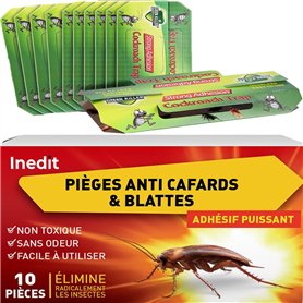 Piege cafard (10 pièces) - Pièges à Colle Anti Cafards Puissant - Répulsifs à Insectes Non Toxique Rapide & Efficace Anti Blatte