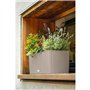 Jardiniere - Balconera cottage 50 - Kit complet - Brun sable - 8 L -  LECHUZA