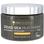 PraNaturals Masque à l'Argile de la mer Morte Bio 550g