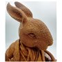 F&G Supplies Sculpture de jardin en fonte à froid Mr Rabbit Beatrix Potter. Ce charmant bonhomme est plein de caractère