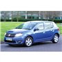 Ramor Strutz 2x Verin de Hayon Compatibles avec Dacia Sandero 2012-2020. Ressorts à Gaz pour Hayon, Verins de Coffre. Remplaceme
