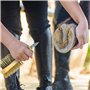 Easy Peasy Mate Kit de toilettage pour chevaux, cure-pieds et brosse à poils équestres – Brosse à cheval en fil d'acier rigide,