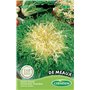 Germisem graines Chicorée frisée de Meaux EC2007 Multicolore