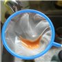 WOWOWO 5 pièces/Ensemble Filet de Poisson Artemia Filtre crevettes Mini Portable pêche réservoir de Poisson Aquarium Maille Dens