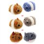 Souris à corde vibrante interactive en peluche pour chats - Spirale Katzenspielzeug