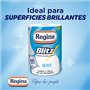 Regina Blitz Papier de Cuisine | 5 Rouleaux | 100 Feuilles Maxi-3 Couches | Idéal pour Nettoyer Les Surfaces domestiques | sans 