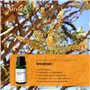 Huile Essentielle D'encens/Franquincens/Boswellia Sacra AMYRON 15 ml - Naturelle Et Pure À 100%, Idéale Pour L'aromathérapie Et