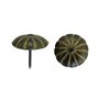 IMEX EL ZORRO B 77022-B Clous marguerites 12 x 16 mm BRONZÉ (1000 unités)