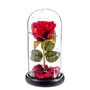 Figurine Décorative Caison Rosa roja eterna leds cupula cristal 20 cm