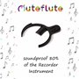 MUTEFLUTE Lot de 5 contrôleurs sonores sourdines pour flûte soprano à doigté baroque ou allemand, sourdine pour enfants et adult