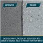 NOON'S UP Super MICAL-Seal (16.90 Ounce) avec des matériaux respectueux de l'environnement pour ciment, béton, briques, surface