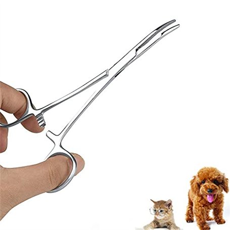 Oumefar Pince à épiler en acier inoxydable pour animaux de compagnie ciseaux de toilettage domicile pour chien nettoyage du visa