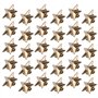 Chudian 30 pièces Badge étoile