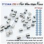 24 Valeurs 240 pcs Kit d'assortiment de Fusibles à action lente 5x20mm 250V 0.1/0.2/0.25/0.3/0.5/0.75/1/1.5/2/2.5/3/3.15/4/5/6/6