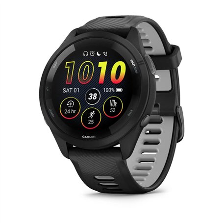 Montre intelligente GARMIN 010-02810-10 Noir Gris 1