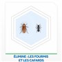 Baygon Anti-Cafards et Anti-Fourmis, Insecticide pour cafards & fourmis - La bombe de 400ml