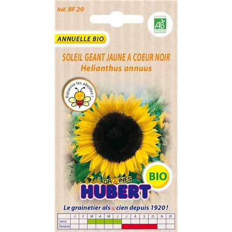 Graines de Soleil Géant Jaune à coeur noir BIO - 2 grammes