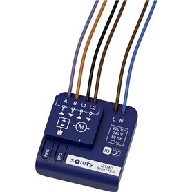 Somfy 1822660 Récepteur sans Fil