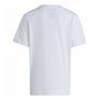 T-shirt à manches courtes unisex Adidas Lk Bl Co Blanc