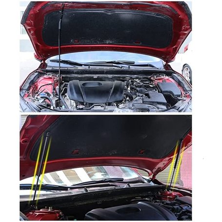 Chaussures de Basket-Ball pour Adultes Adidas Midcity Low Blanc