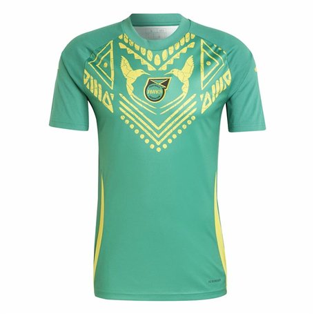 T-shirt de foot Adidas Jamaica 2024 Pre Match Vert