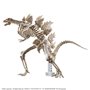 Figure à Collectionner Bandai GODZILLA (2024) Plastique Animation et manga