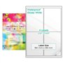Lot de 10 feuilles A4 d'étiquettes autocollantes en vinyle brillant (PVC) blanches prédécoupées et imperméables - Multi-usage -
