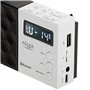 Radio Adler pll fm ad 1908 Noir Blanc