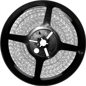 Tube fluorescent Patron