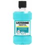 LISTERINE Bains de Bouche