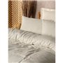 Parure de lit - 1 housse de couette 220 x 240 cm + 2 taies d'oreiller 60 x 60 cm - 100% coton ranforcé - Creme