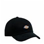 Casquette de Sport Dickies DK0A4ZAYBLK1 Noir Taille unique