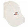 Casquette de Sport Dickies DK0A4ZAYC481 Blanc Taille unique